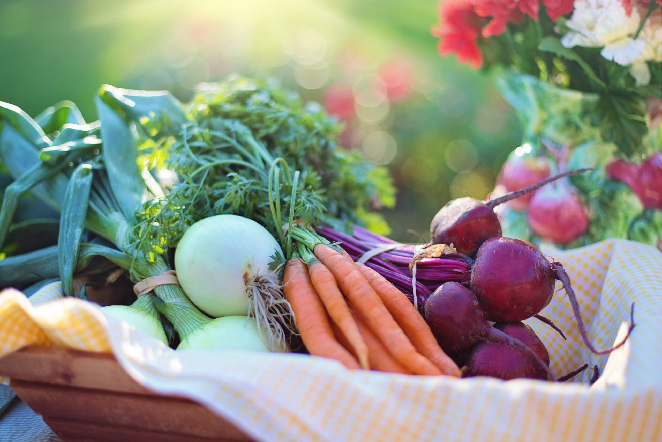 Seasonal fruits and vegetables – Spring | Fruits et légumes de saison – Printemps